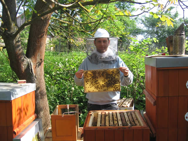 Ušáčkův med